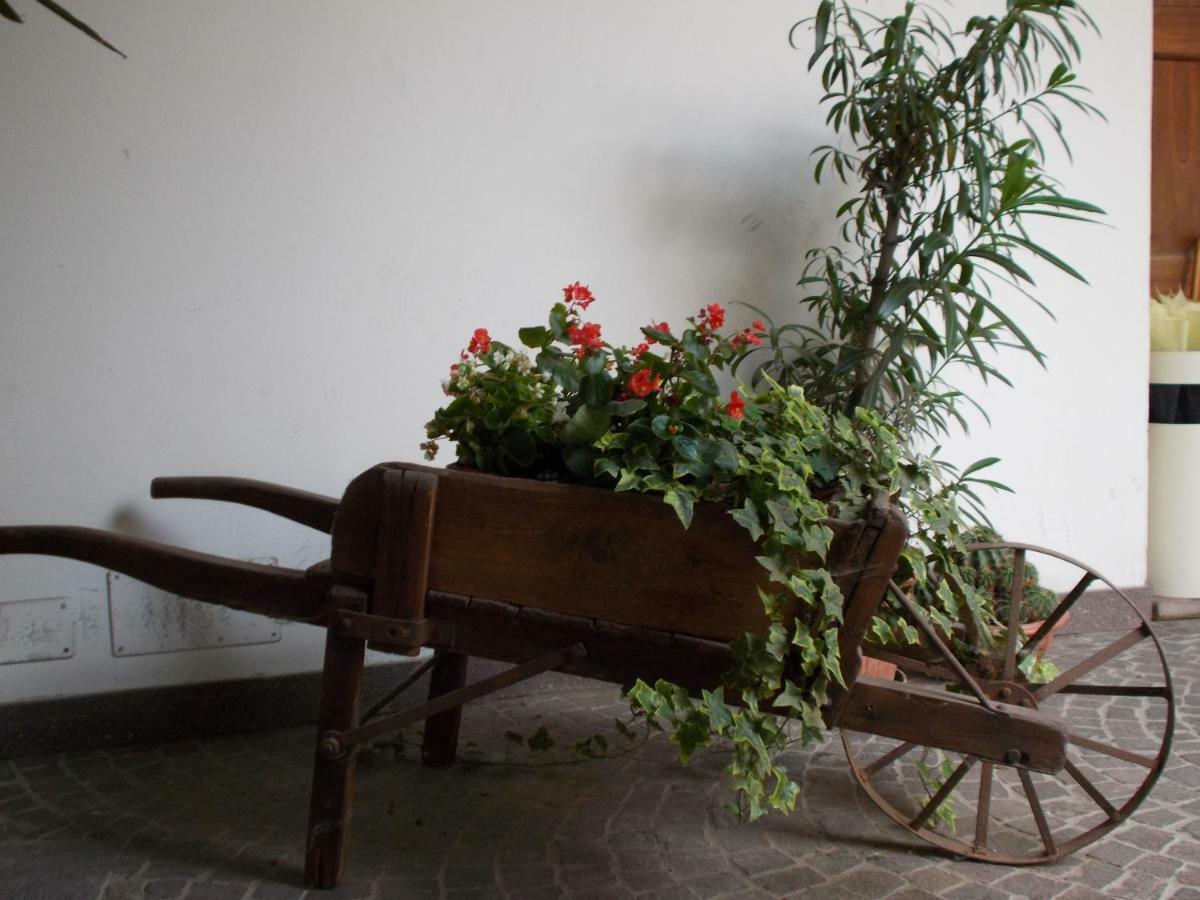 “La Loggia” Apartment Casale Monferrato Luaran gambar
